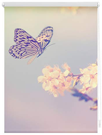 Lichtblick Klemmfix Verdunklungs-Rollo mit Motiv, ohne Bohren, Blickdicht, Seitenzugrollo, Made in Germany, Schmetterling - Rosa 80 x 150 cm