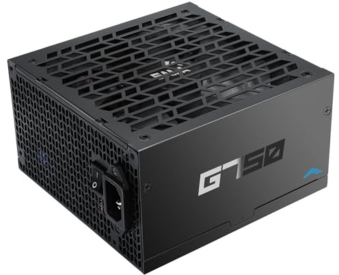 SAMA G750 Power Supply - 750W Fully Modular 80 Plus Gold Certified ATX 3.1 & PCIE 5.1 Compliant Japanese Capacitors 150mm FDB Fan Supports RTX 50/40 Series GPUs - Black