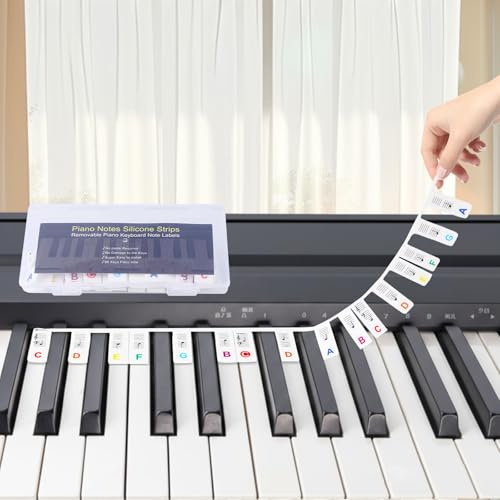 Hyzevee Piano Keyboard Stickers Movable Piano Note Labels for Beginner 88-Key Standard Full-Size Reusable with Box, Rainbow Color, 1 Pcs