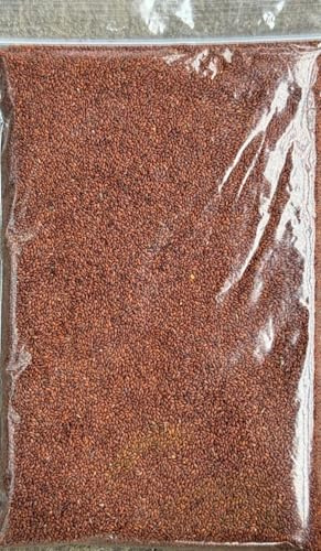 Cress Seeds | Halim Seeds Sprouting Premium Quality by Spice R Us (100g)