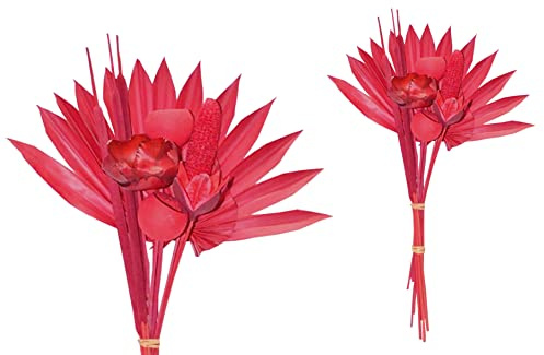 finehomegarden Exoten Sortiment 10-teilig Trockenblumen Strauß Boho Style Exotic Palmspeer rot 60cm Grabaufleger Trauerfloristik Allerheiligen Herbstdeko Totensonntag