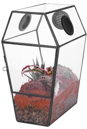 NCYP Gothic Glass Enclosure for Jumping Spider, Snails, Insects - Front Opening Door Geometric Cactus Plants Terrarium with Vent Holes, Indoor Tabletop Coffin Shape Decor, Black (Terrarium Only)