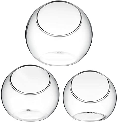Ipetboom 3stücke Glasvase Pflanztopf Aus Glas Kreative Terrarium-Schale Für Luftpflanzen Und Sukkulenten Dekoratives Glasgefäß Für Tischdekoration Und DIY-projekte