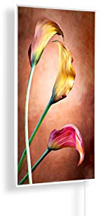 Könighaus Infrarot Bildheizung ✓ Qualität mit TÜV SÜD ✓ 5 Jahre Herstellergarantie ✓ 200+ Bilder ✓ Doppelter Überhitzungsschutz ✓ inkl. Thermostat ✓ 800W ✓ Motiv: Ölgemälde 180