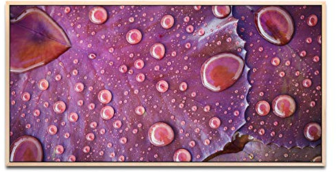 Wassertropfen auf einem Blatt ca. 130x70cm Wandbild inklusive Schattenfugenrahmen naturfarbend - Panorama Leinwand Bild XXL Format Wandbilder Wohnzimmer Wohnung Deko Kunstdrucke