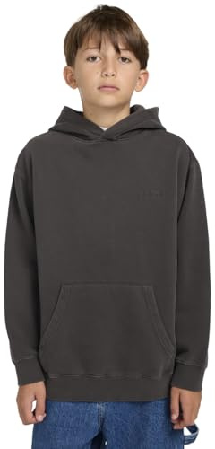 Element pojkar Cornell 3.0 Po ungdom pullover tröja (förpackning med 1)