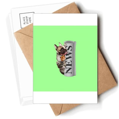 Roll Newspaper Pet Group Art Deco Fashion Postcards Envelopes Blank Note Cards Mailing