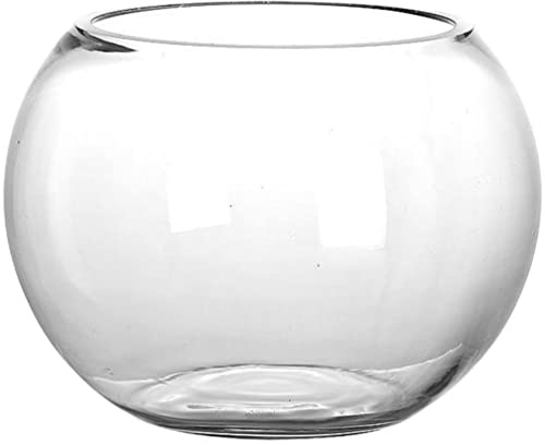 GANAZONO Vaso Di Pesci In Vetro Chiaro Terrario Globo Fiore Vaso Piccolo Serbatoio Di Pesci Rossi Bolla Piantatrice per Arrangiamenti Eventi Di Nozze Decorazioni Per La Casa 20Cm