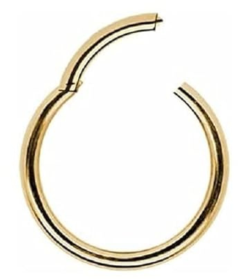 Generisch ECHTGOLD 750er 585er GOLD CLICKER Piercing Ring echter DIAMANT Gelbgold Weissgold Rosegold Scharnier Nase Ohr