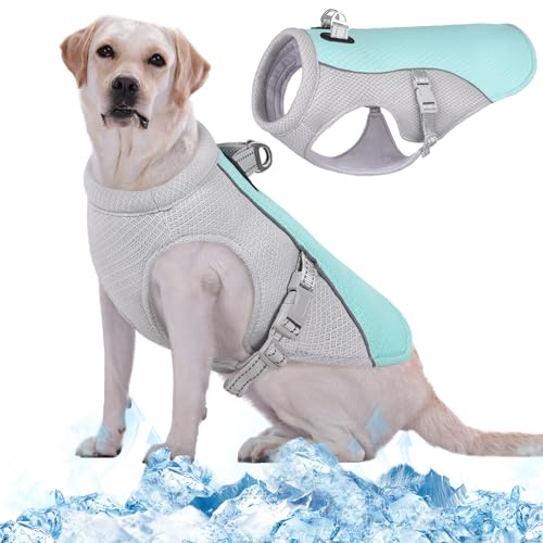 Kuoser Kühlweste für Hunde, Kühlweste Hund für Sommer mit D-Ring, Blau L | Hunde Kühlweste für heiße Sommertage, Atmungsaktive & Reflektierende Hundekühlwesten, Kühljacke Hund für Aktivitäten Draußen