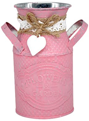 Ciieeo Pot de Fleurs Style Jardin Rond, en Fer, Rose, pour Succulentes | Grosse Ouverture, Plantation Aisée, Convient aux Cactus, Décoration de Fleur pour Salon et Bureau