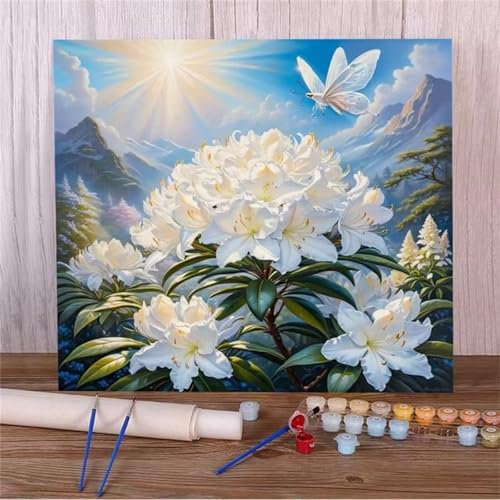 Malen Nach Zahlen Erwachsene Weiße Lilien,DIY Handgemalt Ölgemälde Kit für Anfänger Ohne Rahmen mit Acrylfarbe und 3 Pinseln für Geschenke und Home Wand Dekor - 30x30cm