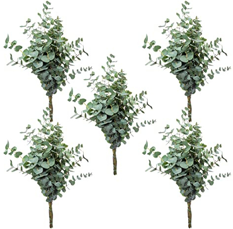 Blumigo 5 Bund Eukalyptus Zweige - 50 cm - Frische Schnittblumen Stiele für die Vase - Echte Stiele - Eukalyptusblätter zur Deko oder Hochzeit - Greenery - Natur