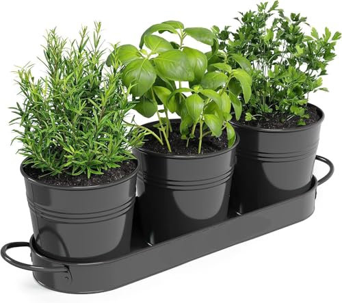 BSTMOME Herb Pot Planter Set with Tray for Indoor/Outdoor Use, Decorative Metal Succulent Pots Flower Pots for Kitchen Grow (Black)