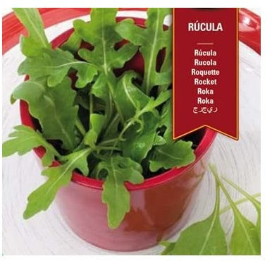 Semillas Rúcula Eruca Sativa Semillas Ecológicas para Sembrar Rúcula en Casa