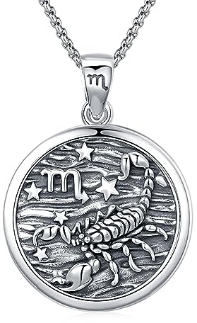 REDSUN Konstellation Kette,Sternzeichen Halskette 925 Sterling Silber Konstellation Anhänger 12 Konstellation Oxidierte Halskette Schmuck für Frauen und Mädchen