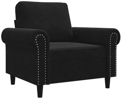 vidaXL Sillón, Asiento con Reposabrazos Respaldo, Sillón de Descanso Relax Televisión, Sofá Tapizado para Salón Hogar, Terciopelo Negro
