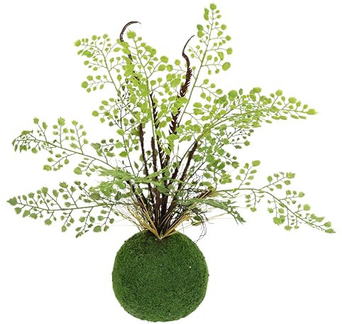 Künstliche Pflanze Frauenhaar auf Moos-Kugel Farn Farnbusch Waldfarn Kunstpflanze Zimmerpflanze Büropflanze Grünpflanze Dekopflanze Deko-Kugel Kunstmoos Busch Sträucher Dekofarn Farnpflanze