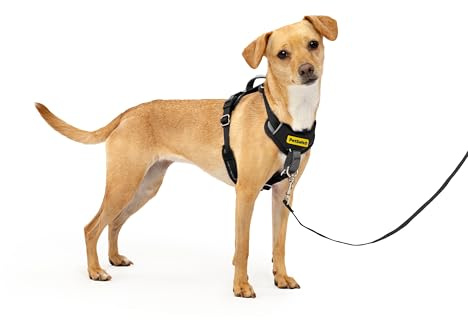 PetSafe Easy Walk Comfort No-Pull hundsele helkroppsstoppning - bättre promenader vid första användningen - 5 justeringspunkter, XS, små, medelstora och stora hundar, blå/svart/grön/rosa