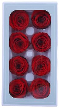 kiskick Konservierte Blumen, ewige Rosen, 8 Stück, konservierte Rosen, Schönheit, lichtecht, realistisches ewiges Blumenarrangement, Geschenk Rot