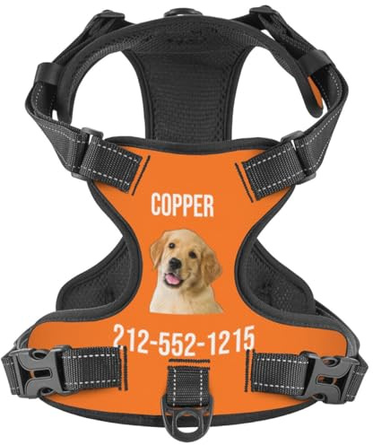 WINKEEY Hundegeschirr Personalisiert Sicherheitsgeschirr Welpengeschirr Brustgeschirr Mit Namen Telefonnummer Anti Zug, atmungsaktiv, reflektierend Für Kleine Mittelgroße und Große Hunde