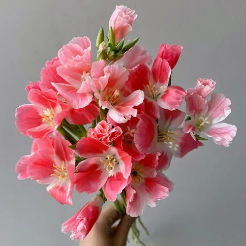 Semi di azalea estiva, decorazione floreale semi di decorazione del soggiorno resistenti per il giardino decorazione da 180pcs