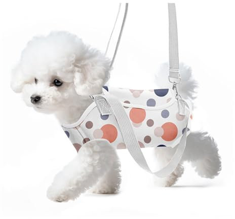 Soft Jacket Step-in-Hunde-/Katzengeschirr und Leine-Set Zum Spazierengehen, Hundegeschirre mit Schnellverschluss für Welpen, Große Katzen, Verstellbar, Leicht,A-M