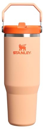 Stanley 1913 Flip Straw Botella Agua con Pajita 0.89L - Orange Sherbet