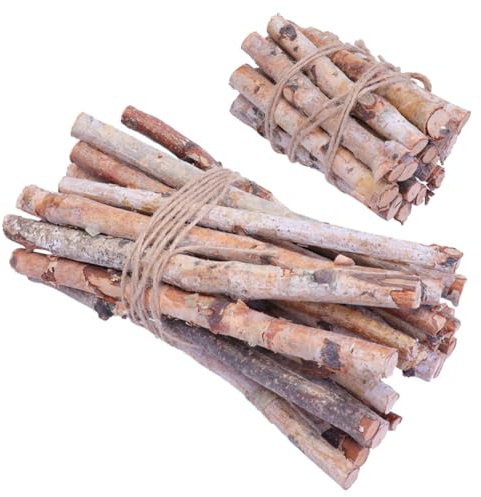 SEWACC 40pcs Birch Branches Fireplace Decor Fake Fireplace Logs Dried Branches Faux Logs Birch Wood s for Decoration Vase Decorations Wood s Twigs