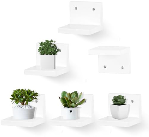 NIUBEST Small Floating Shelf for Wall Set of 6,Mini Shelves for Display Small Figurine,Plant,Collectibles,Wall Shelves for Bedroom Living Room Bathroom Kitchen Decor（White）