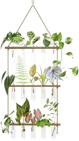 Bamworld Estación Propagación Plantas con 15 Tubos de Ensayo y Soporte Madera para Esquejes Hidrocultura Suculentas Accesorio Jardinería y Decoración Interior