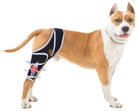 Hunde-Kniebandage für gerissene Kreuzbandage, mit seitlichen Stabilisatoren, bietet stabile Unterstützung und Schmerzlinderung für Hinterbeine. (M)