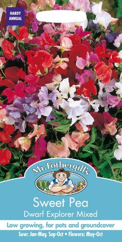 Mr Fothergill's Sweet Pea Dwarf Explorer Mixed