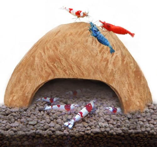 SunGrow Coconut Aquarium Shrimp Cave, Small Fish Tank Decorations Accessories, Comfortable Shelter and Breeding Area for Crustaceans, Fish Hideout Aquarium Décor for Spawning (1 piece)