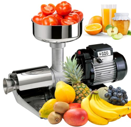 Reber Spremipomodoro Elettrico N.5 600W per Salsa di Pomodoro e Conserve | per Marmellate e Succhi di Frutta, Produzione fino a 350 Kg/h Accessori in Acciaio Inox, Motore a Induzione per Uso Continuo