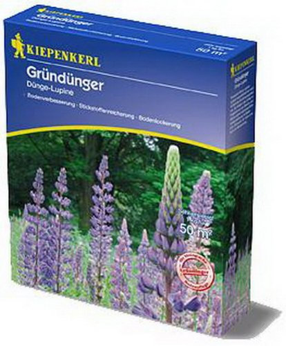DOMINIK Kiepenkerl Gründünger Lupine 1 kg
