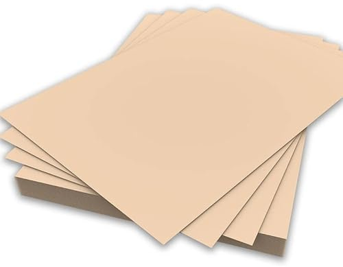 Feuilles de couleur saumon Rame de papier coloré 80 g/m² Impression copieur A4 210 mm x 297 mm 500 Sheets rose