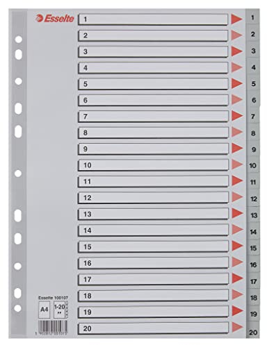Leitz Esselte Register für A4, Deckblatt aus Karton und 20 Trennblätter aus Kunststoff, Taben mit Zahlenaufdruck 1-20, Überbreite, Grau, 100107