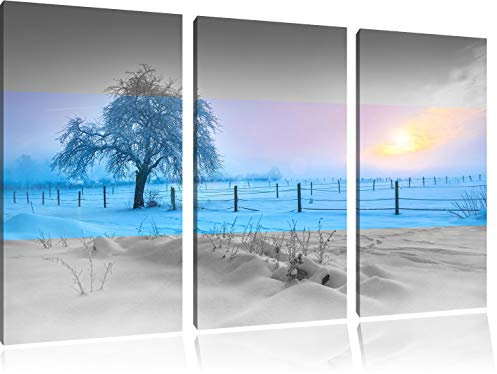 Pixxprint Einsamer Baum in Winterlandschaft B&W, Leinwandbild 3 Teilig, Gesamtmaß: 120x80cm, Wandbild, Dekoration, fertig gespannt, Kein Poster