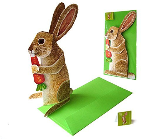 POP-UP-HASE MIT MÖHRE Pop-Up-Karte Tiere/lustige 3 D-Faltkarte/Hasen Postkarte