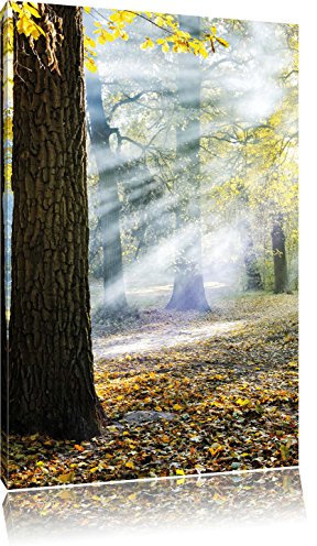 Pixxprint Sonnenstrahlen im Wald, Größe: 80x60cm, Leinwandbild, fertig gespannt, Wandbild, Dekoration, Kunstdruck, kein Poster