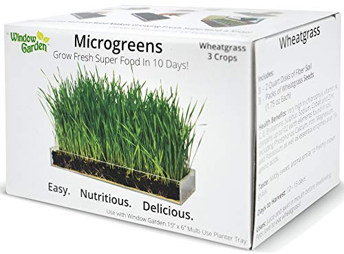BOGO Window Garden Microgreen Organic Wheatgrass 3 Set Refill – Use with Grow n Serve Kit, Multi-Use 15” x 6” Planter Tray, Pre-Measured Soil + Seed. Easy and Convenient, Sprout 3 Crops of Superfood.