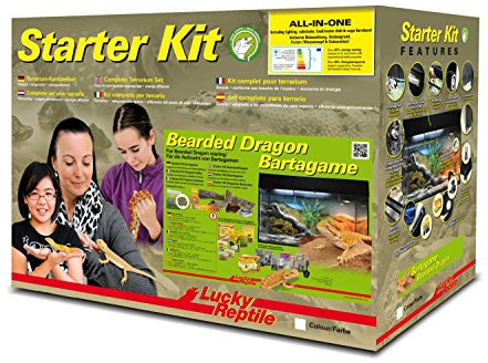 Lucky Reptile Starter Kit Bartagame, Farbe:Schwarz
