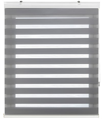 Blindecor Vela | Rollo nacht und tag premium mit galerie | Silbergrau, doppelrollo 100 x 180 cm (BxH) | Stoffgröße 97 x 175 cm | Elegantes Tag und Nacht rollo