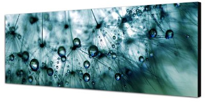 Augenblicke Wandbilder Keilrahmenbild Wandbild 150x50cm Pusteblume Löwenzahn Wassertropfen Tau
