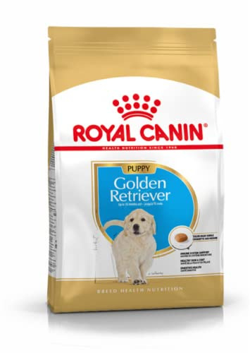 Royal Canin Golden Retriever Junior 12 kg, 1er Pack (1 x 12 kg) | Unterstützt gesunde Haut und Fell, Immunität und Verdauungsgesundheit