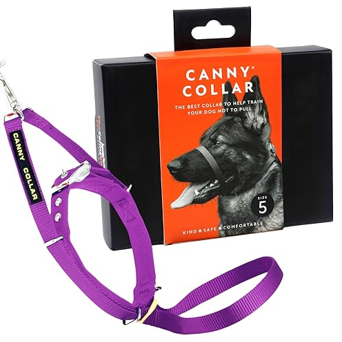 Canny Collar – Träningshuvudkoppel mot Dragande Hundar | Lär Hunden Gå Fint med ett Vanligt Halsband | No-Pull Huvudkoppel för Lugna Promenader | Säker Kontroll | Lila, storlek 5