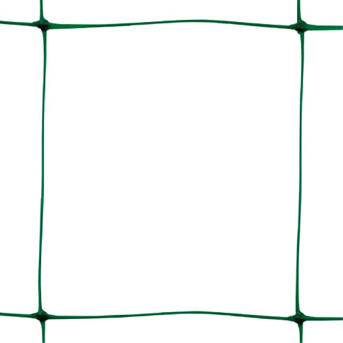 TENAX filet à Ramer Flora 2,00x10 m Vert, Facilite la Croissance des Tomates, Haricots, Légumes, Fleurs et Plantes Grimpantes, Emballage en Filet