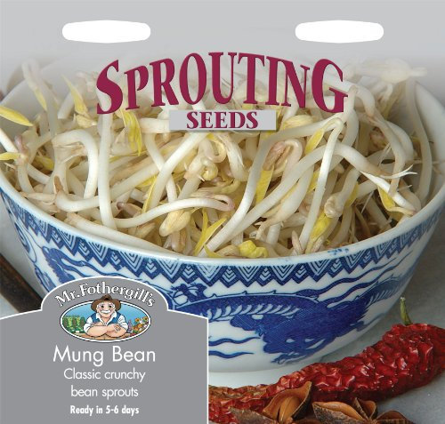 Mr Fothergills - Pictorial Packet - Salad Leaves - Mung Bean - 1200 Seeds
