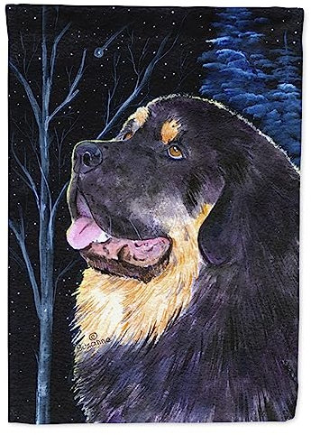 Caroline 's Treasures SS8552GF Starry Night - Bandera tibetana, pequeña, Multicolor